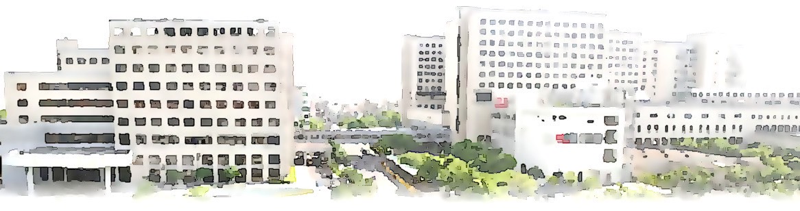 National Cheng Kung University Hospital
